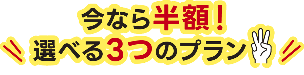 今なら半額！選べる三つのプラン