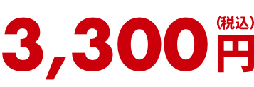 3,300円(税込)