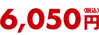 6,050円(税込)
